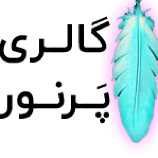 فروشگاه اینترنتی و گالری پرنور PARNOOR